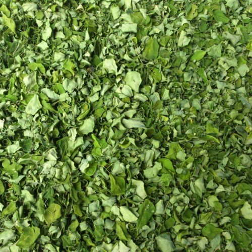 Natural moringa leaves